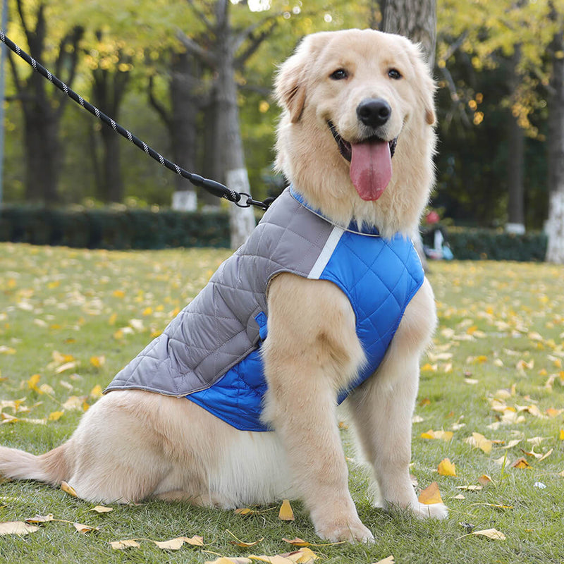 Casaco de cachorro acolchoado ajustável - Quente e seguro para caminhadas no inverno