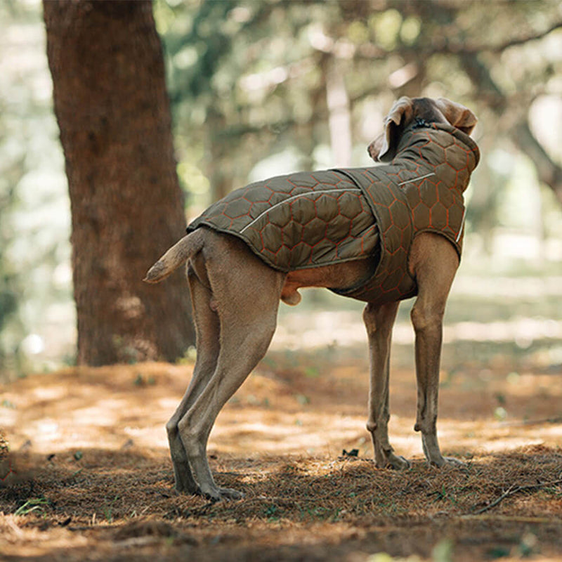 Colete acolchoado para cães ao ar livre - Quente e durável para caminhadas e aventuras