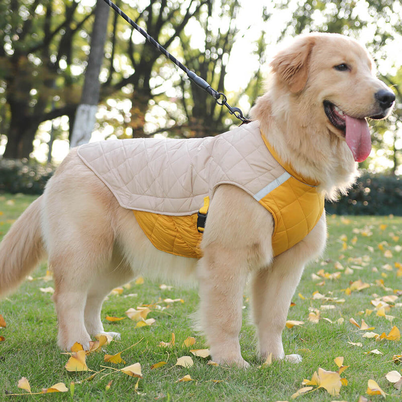 Casaco de cachorro acolchoado ajustável - Quente e seguro para caminhadas no inverno