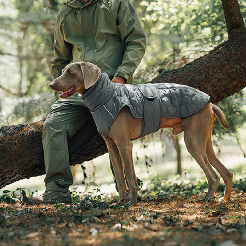 Colete acolchoado para cães ao ar livre - Quente e durável para caminhadas e aventuras