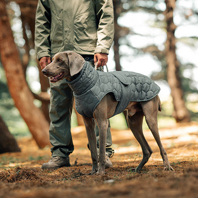 Colete acolchoado para cães ao ar livre - Quente e durável para caminhadas e aventuras