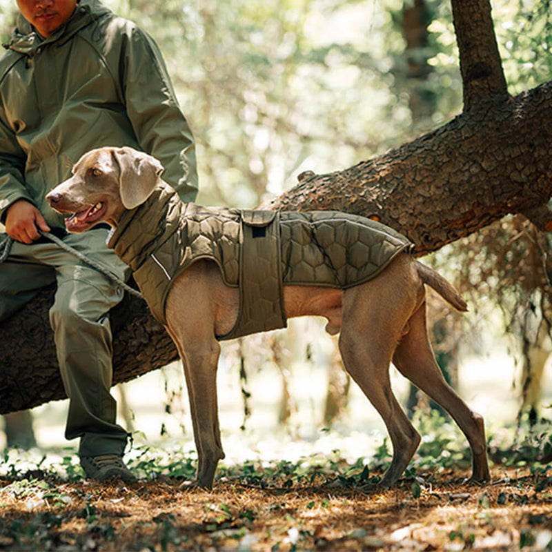 Colete acolchoado para cães ao ar livre - Quente e durável para caminhadas e aventuras