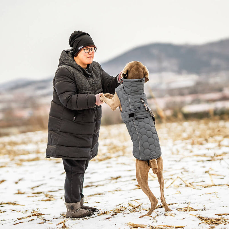 Colete acolchoado para cães ao ar livre - Quente e durável para caminhadas e aventuras