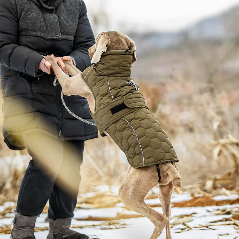 Colete acolchoado para cães ao ar livre - Quente e durável para caminhadas e aventuras