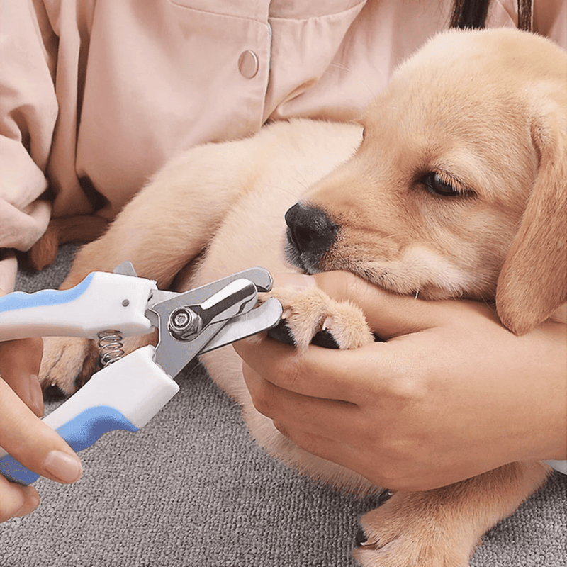 Cortador de unha profissional pet