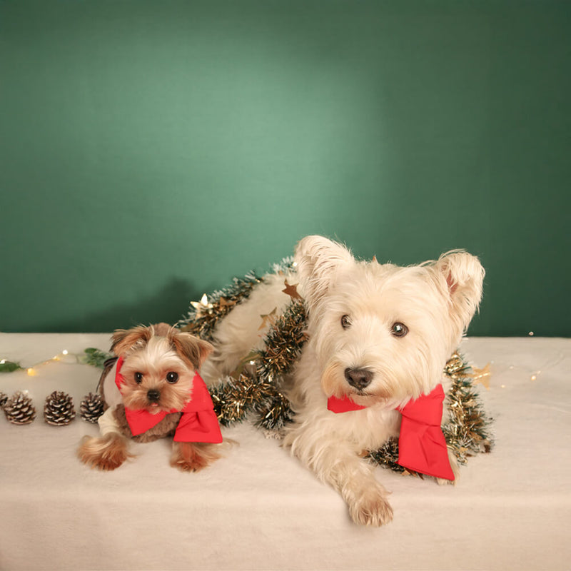 Cachecol ajustável para cães e gatos com nó de laço de Natal