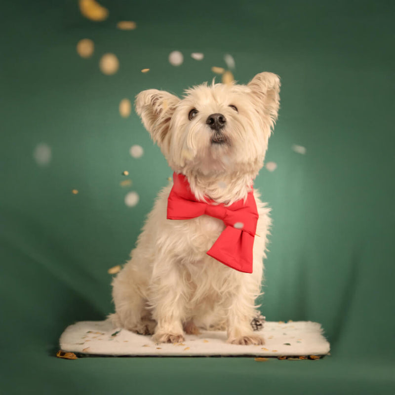 Cachecol ajustável para cães e gatos com nó de laço de Natal