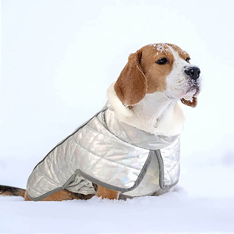 Casaco de cachorro quente, refletivo, à prova d'água e colorido deslumbrante