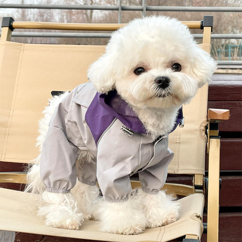 Jaqueta com capuz para cachorro, estilosa, à prova d'água, à prova de vento, ajustável, para áreas externas