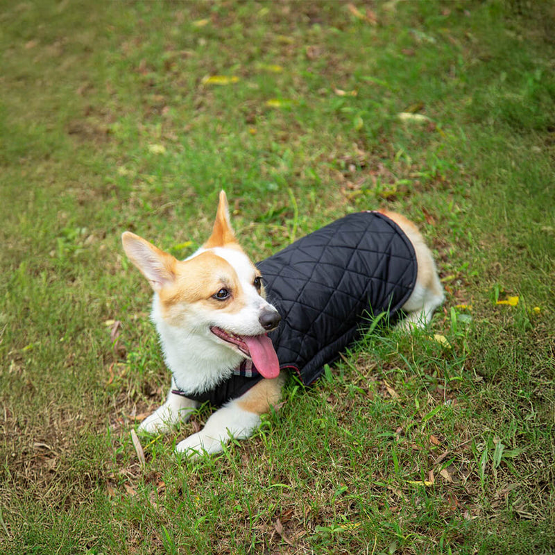 Casaco de velcro para cães ultraquente, xadrez, gola alta, amigo da pele