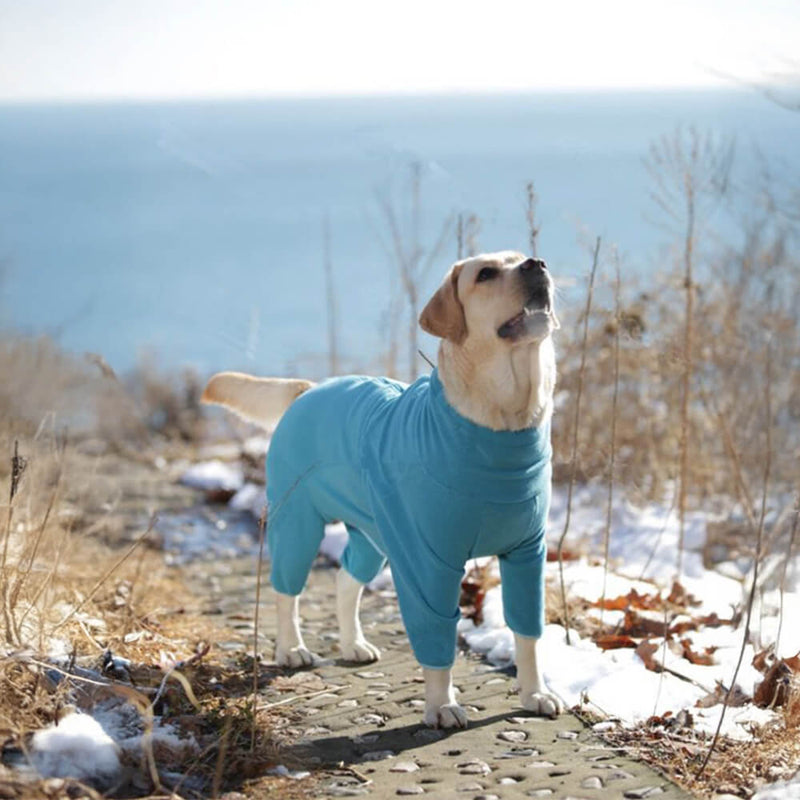 Macacão de cachorro de gola alta com lã polar à prova de vento e aquecimento de corpo inteiro