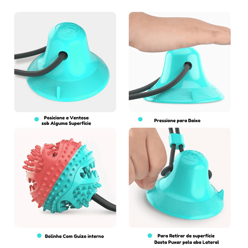 Mordedor com ventosa para cães