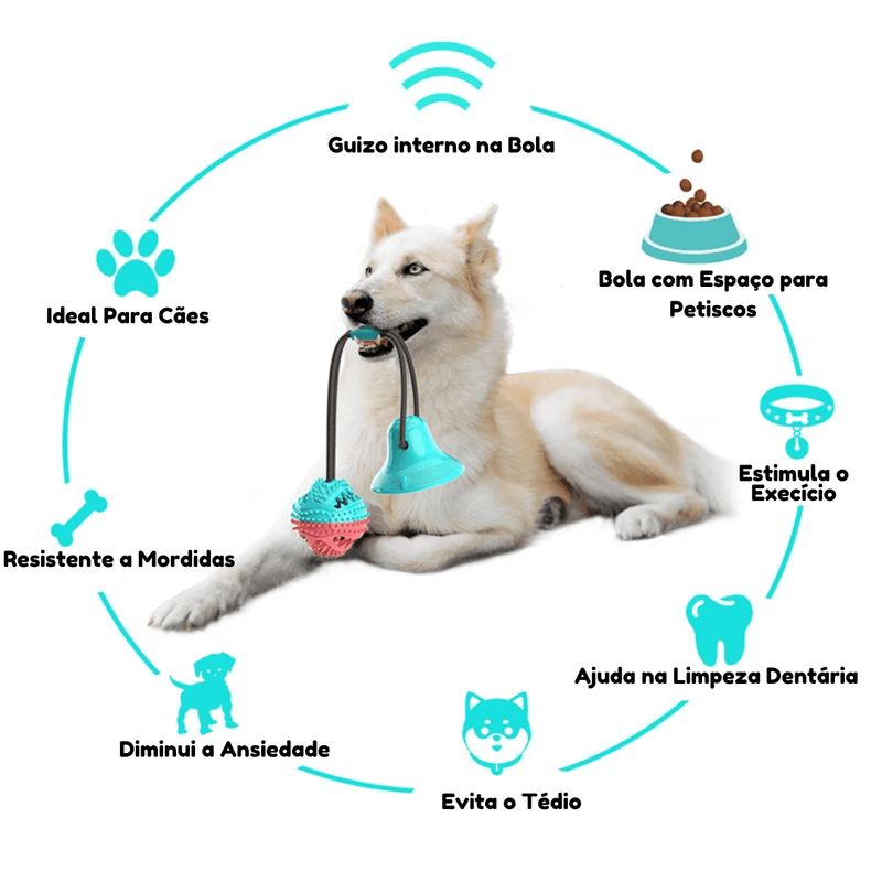 Mordedor com ventosa para cães