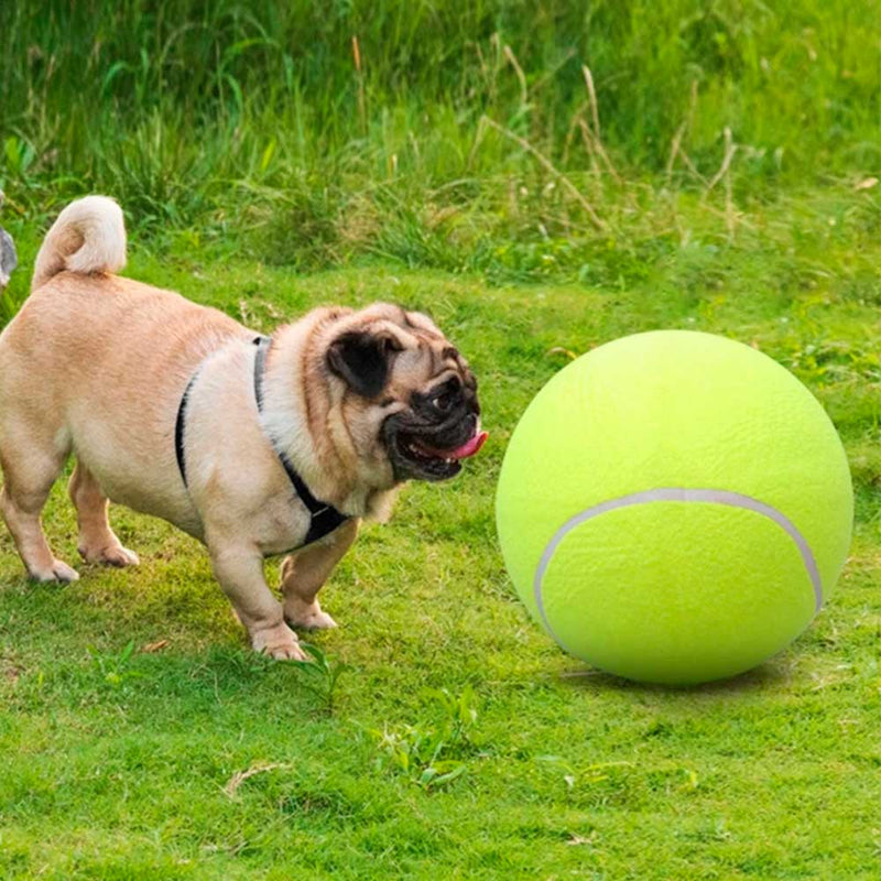 Brinquedo Bola Resistente de Tennis para Cão