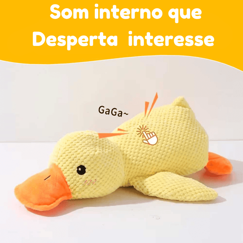 Pato Resistente Interativo