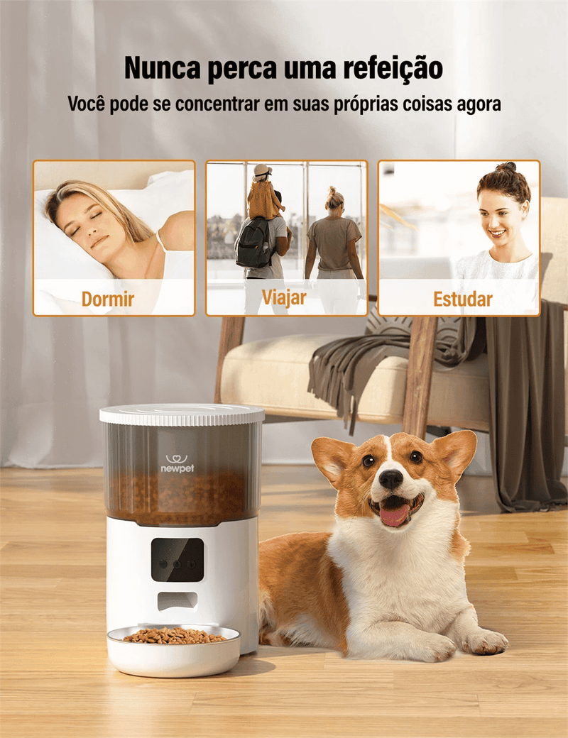 Comedouro automático programável pets